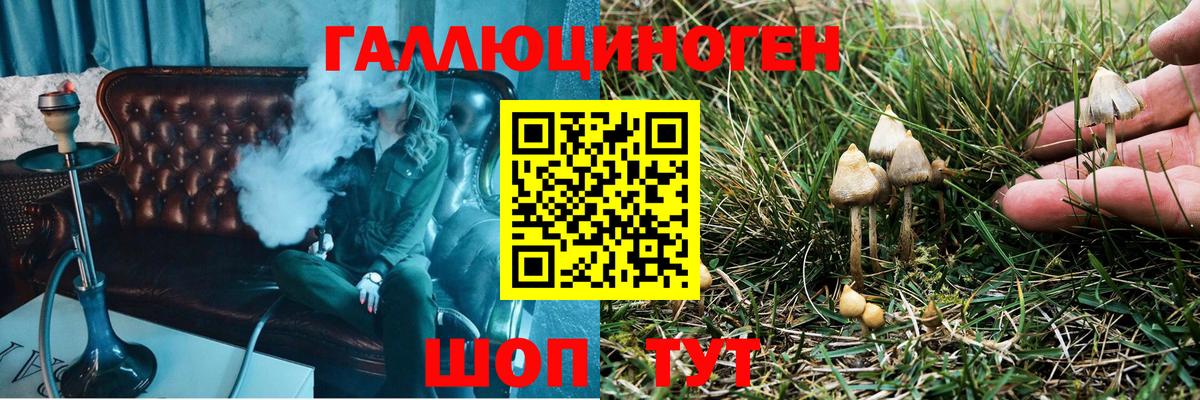 Псилоцибиновые грибы прущие грибы  Вход с VPN  Железноводск 