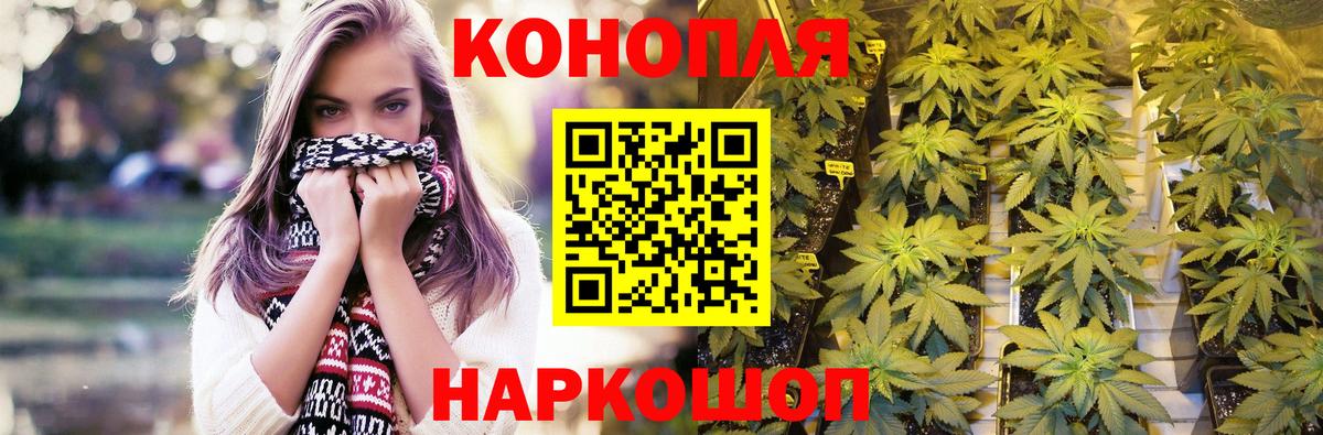 Железноводск  Каннабис семена  Марихуана индика  Вход с VPN  Каннабис SATIVA & INDICA 